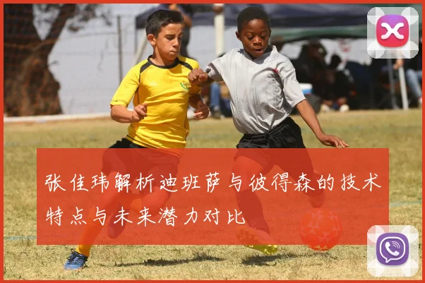 张佳玮解析迪班萨与彼得森的技术特点与未来潜力对比